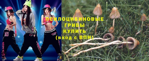 молекула духа Вязники