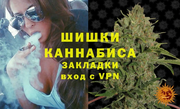 соль ск Верхний Тагил