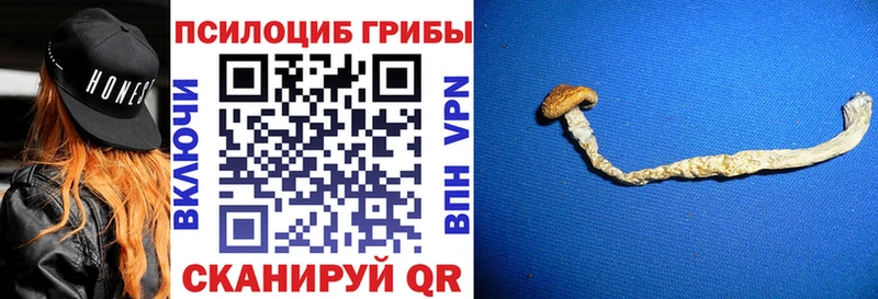 Галлюциногенные грибы GOLDEN TEACHER  Инсар 